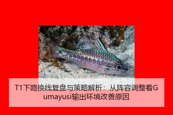xia-lu-huan-xian-fu-pan-yu-ce-lve-jie-xi-cong-zhen-rong-tiao-zheng-kan-shu-chu-huan-jing-gai-shan-yuan-yin-2-780.jpg